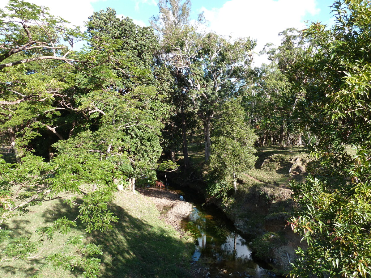 照片 新喀里多尼亚(New Caledonia) 卡纳拉至拉福阿公路(Canala to La Foa road) 2010-05 2
