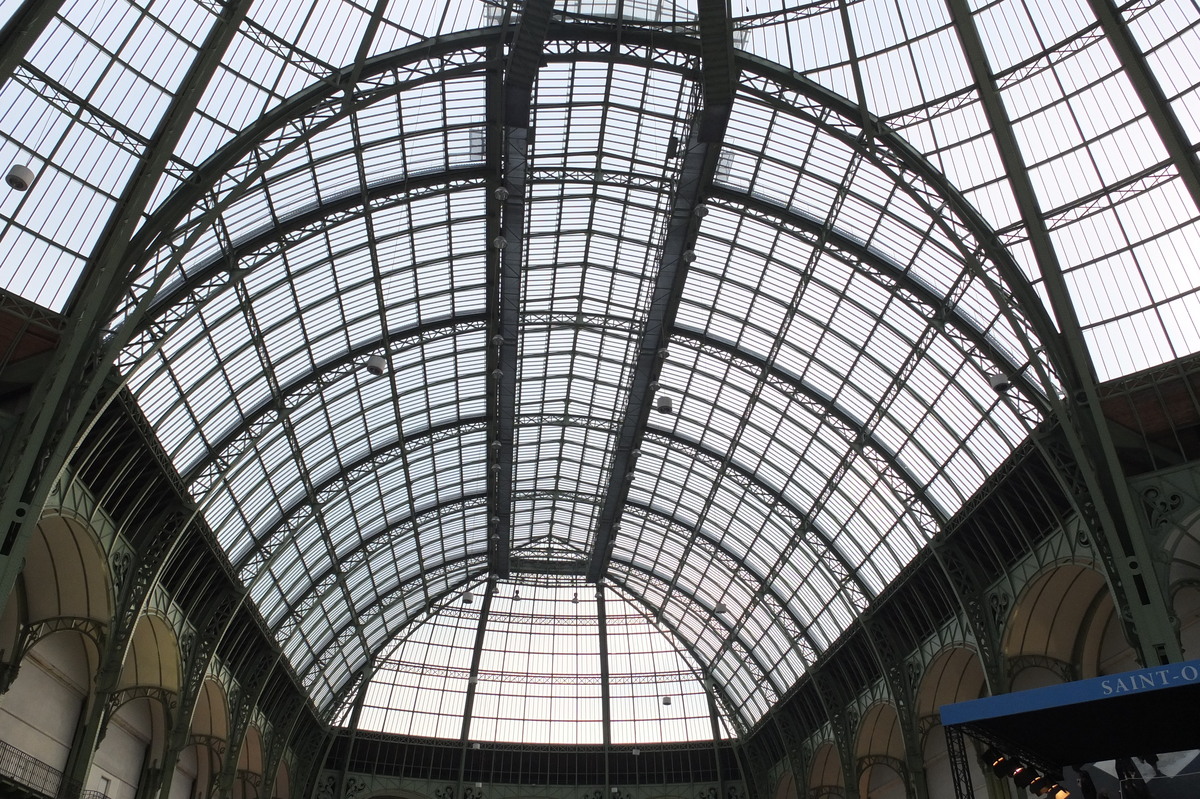 照片 法国(France) 巴黎(Paris) 大皇宫(Grand Palais) 2012-01 23