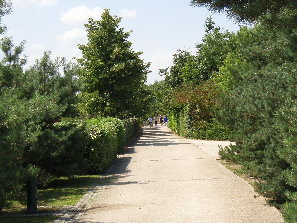 照片 法国(France) 维尔讷夫拉加雷讷(Villeneuve La Garenne) 尚特雷讷公园(Parc des Chanteraines) 2007-07 12
