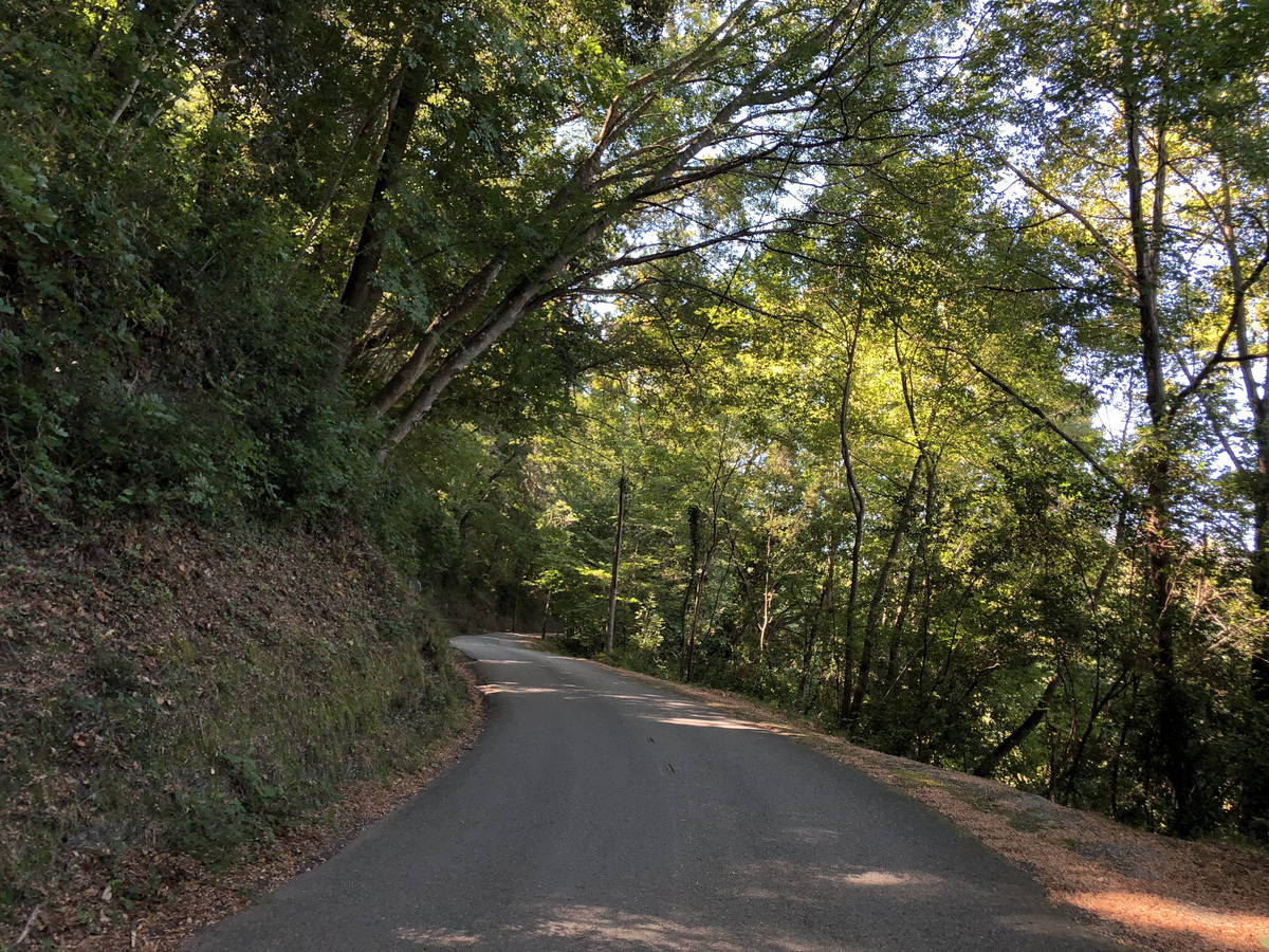 照片 法国(France) 科西嘉岛(Corsica) 圣朱利亚诺(San Giuliano) 2018-09 0