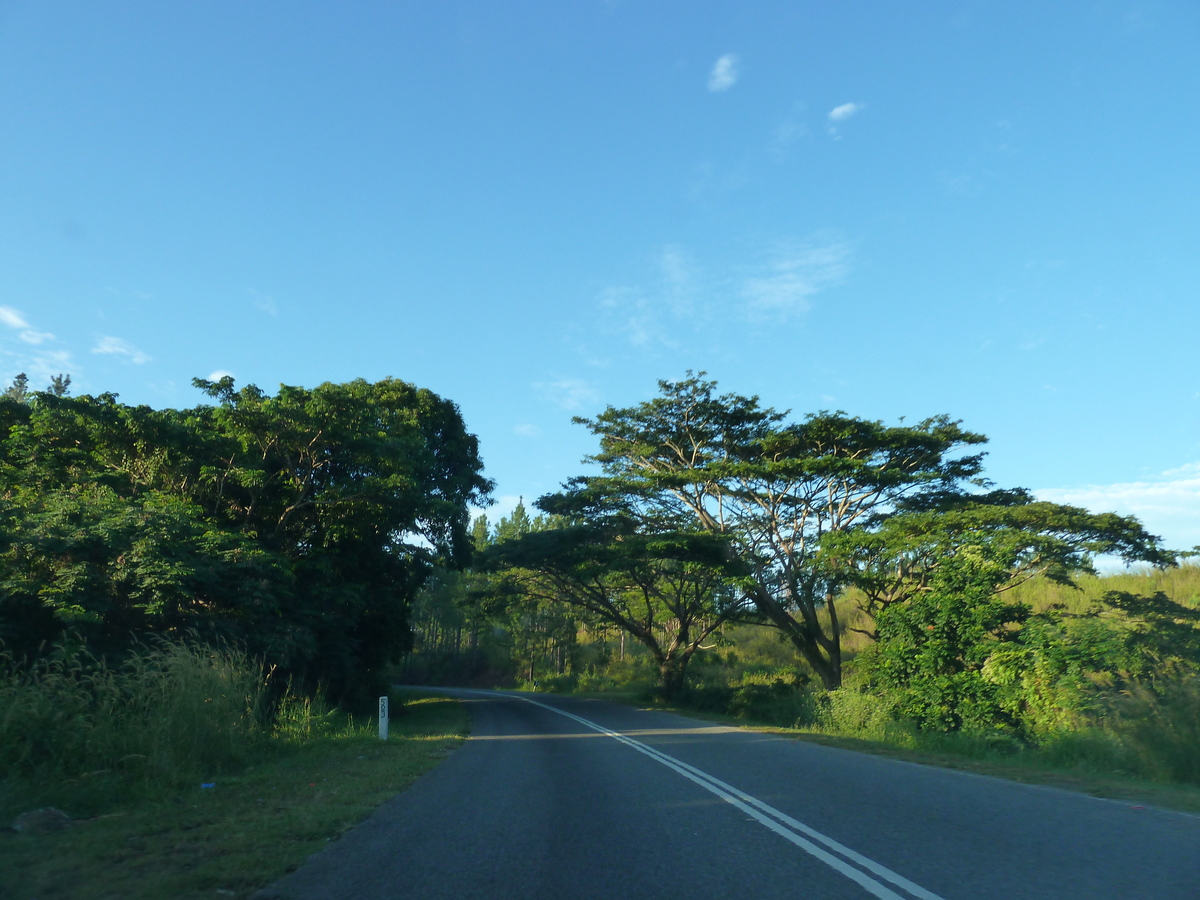 照片 斐济(Fiji) 楠迪至辛加东卡公路(Nadi to Sigatoka road) 2010-05 34