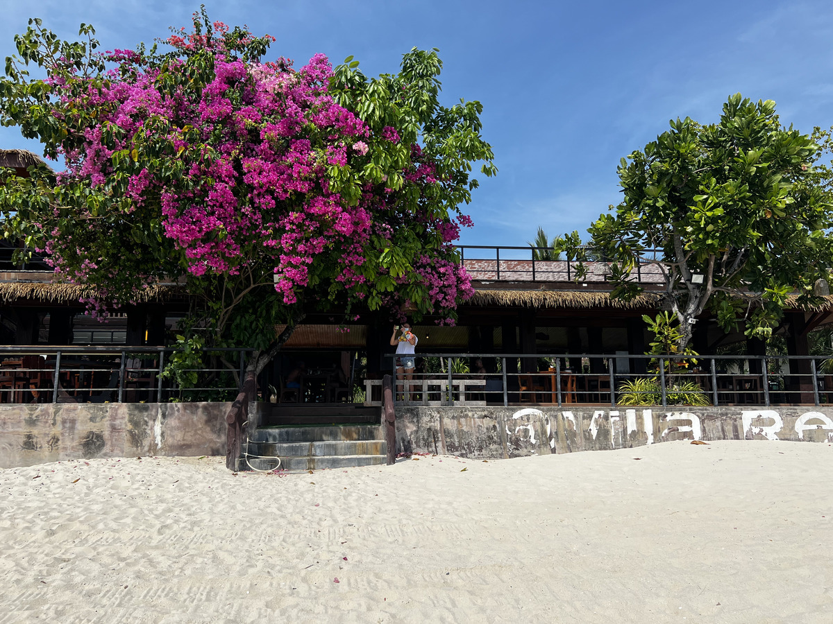 照片 泰国(Thailand) 大皮皮岛(Ko Phi Phi Don) 2021-12 144
