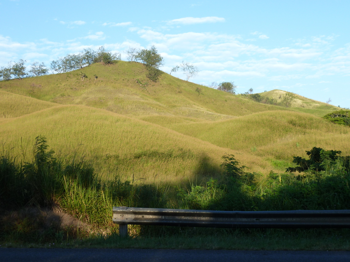 照片 斐济(Fiji) 楠迪至辛加东卡公路(Nadi to Sigatoka road) 2010-05 26