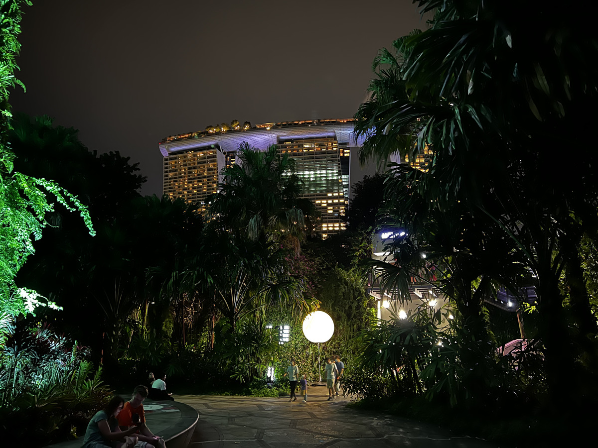 照片 新加坡(Singapore) 滨海湾花园(Garden by the bay) 2023-01 2