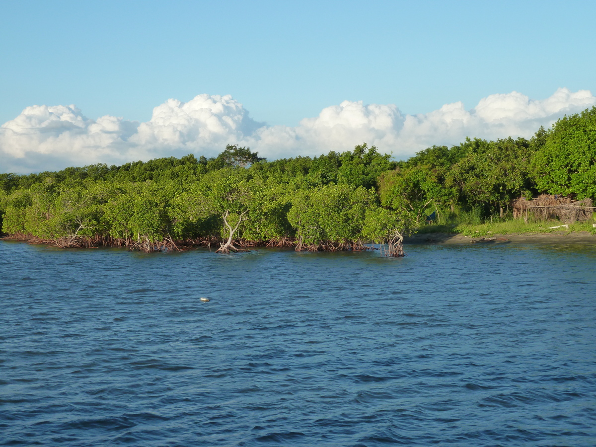 照片 斐济(Fiji) 丹娜努港(Port Denarau) 2010-05 25