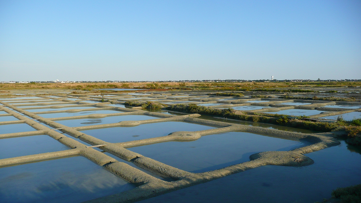 照片 法国(France) 盖朗德(Guerande) 盐田(Les marais salants) 2007-08 5