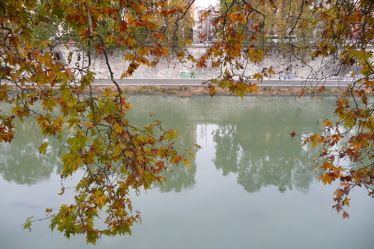 照片 意大利(Italy) 罗马(Rome) 贾尼科洛台伯河滨路(Lungotevere Gianicolense) 2007-11 23