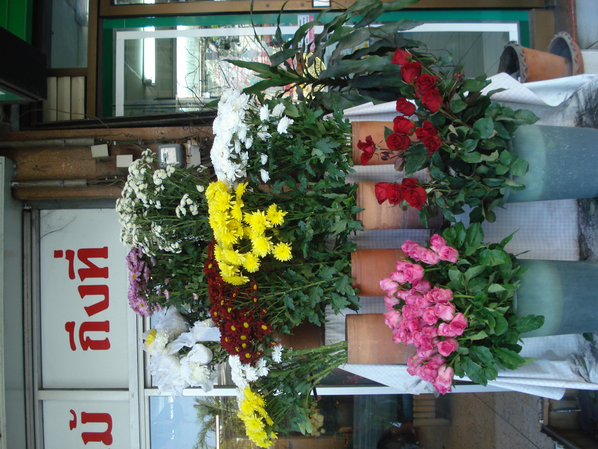 照片 泰国(Thailand) 芭提雅(Pattaya) 芭提雅中路(Pattaya Klang) 2008-01 27