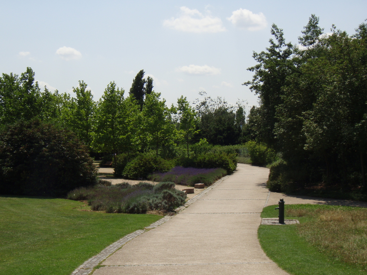 照片 法国(France) 维尔讷夫拉加雷讷(Villeneuve La Garenne) 尚特雷讷公园(Parc des Chanteraines) 2007-07 67
