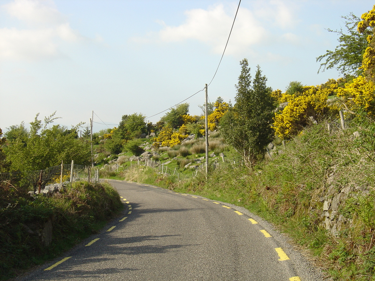照片 爱尔兰(Ireland) 凯里郡(Kerry) 卡拉湖(Caragh Lake) 2004-05 4