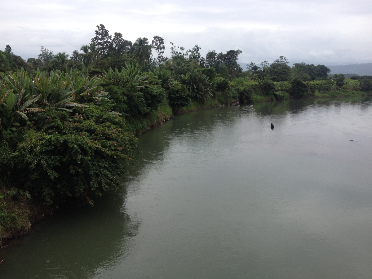 照片 哥斯达黎加(Costa Rica) 加勒比海岸(Caribbean Border) 2015-03 25