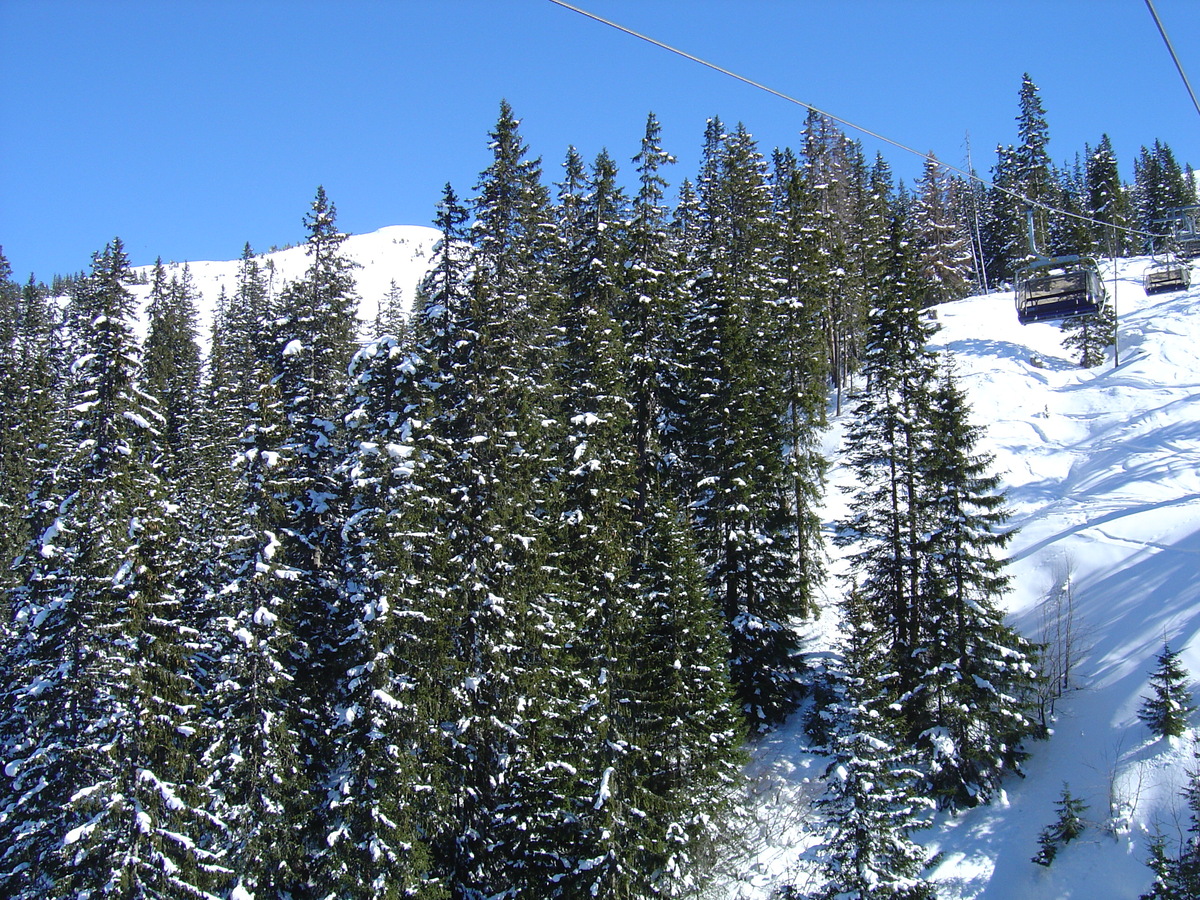 照片 奥地利(Austria) 基茨比厄尔(Kitzbuhel) 滑雪(Ski) 2005-03 149