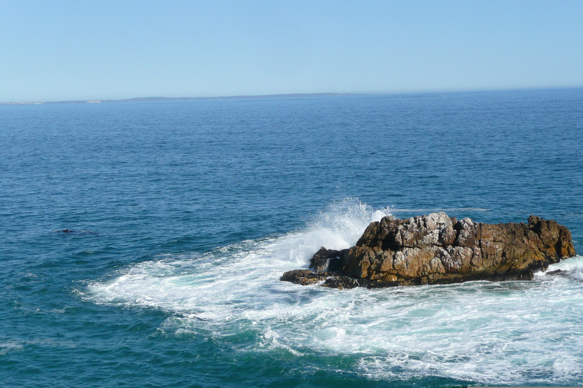 照片 南非(South Africa) 赫曼努斯(Harmanus) 2008-09 291