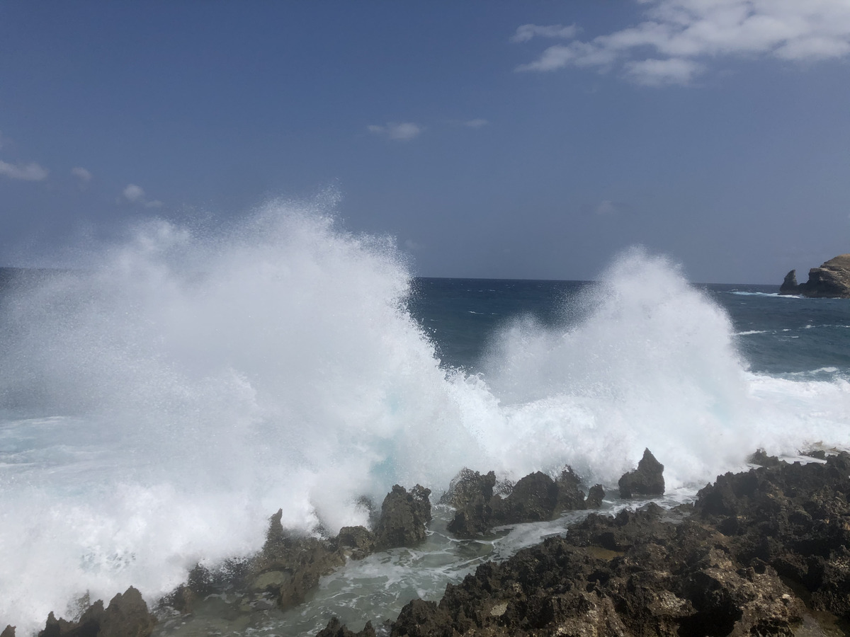 照片 瓜德罗普(Guadeloupe) 城堡角(Castle Point) 2021-02 317
