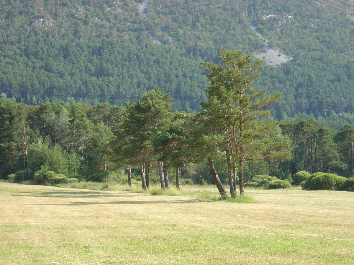 照片 法国(France) 卡斯特拉讷至库尔瑟古勒公路(Road Castelane to Coursegoule) 2004-08 9