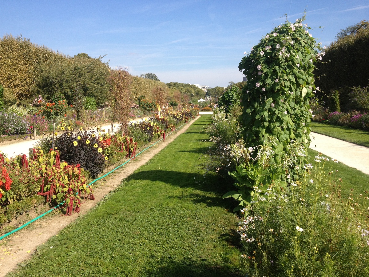 照片 法国(France) 巴黎(Paris) 巴黎植物园(Jardin des Plantes) 2014-09 17