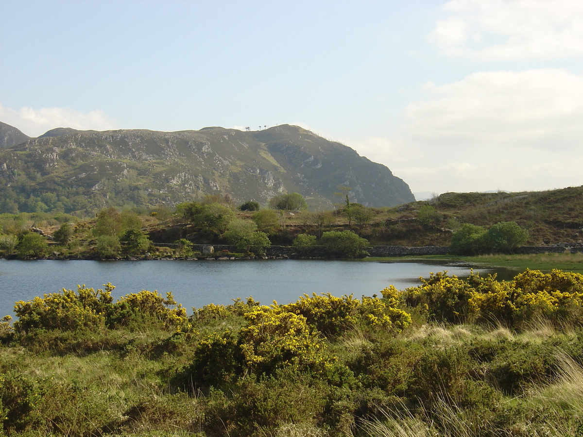 照片 爱尔兰(Ireland) 凯里郡(Kerry) 卡拉湖(Caragh Lake) 2004-05 2