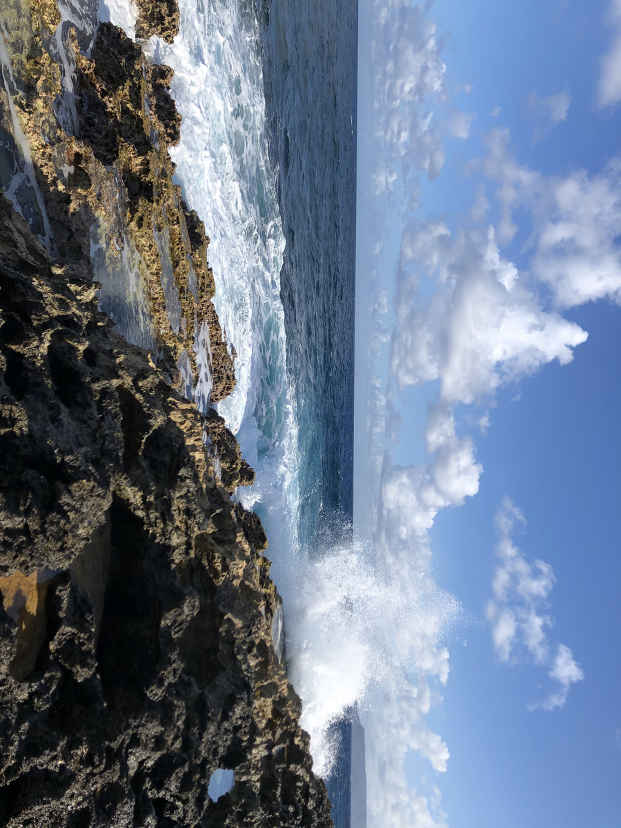 照片 瓜德罗普(Guadeloupe) 城堡角(Castle Point) 2021-02 202