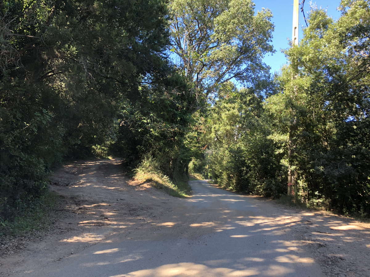 照片 法国(France) 科西嘉岛(Corsica) 圣朱利亚诺(San Giuliano) 2018-09 22