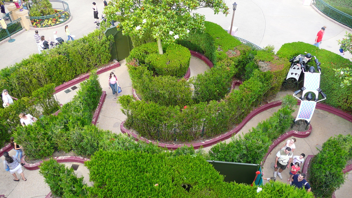 照片 法国(France) 巴黎迪士尼乐园(Disneyland Paris) 爱丽丝迷宫(Alice Labyrinth) 2007-07 8