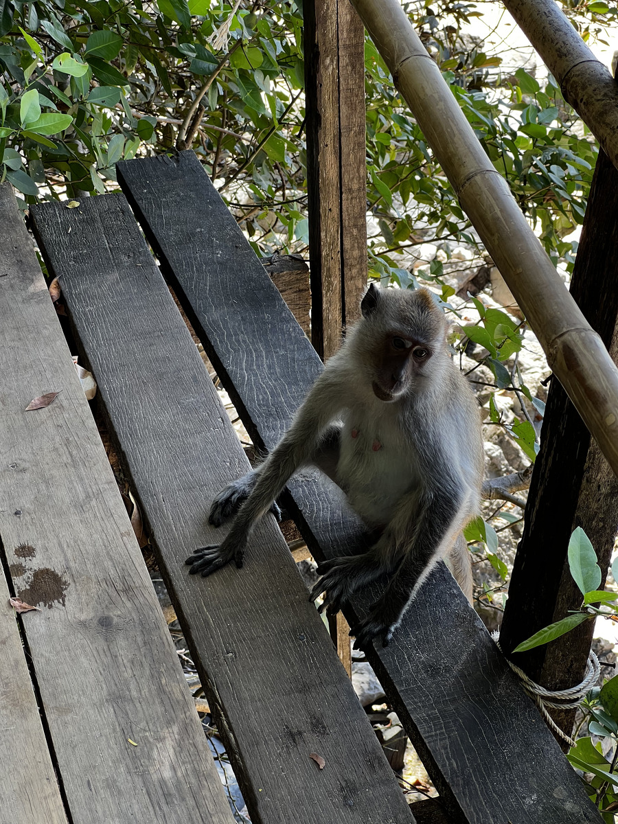 照片 泰国(Thailand) 甲米(Krabi) 奥南(Ao Nang) 2023-01 97