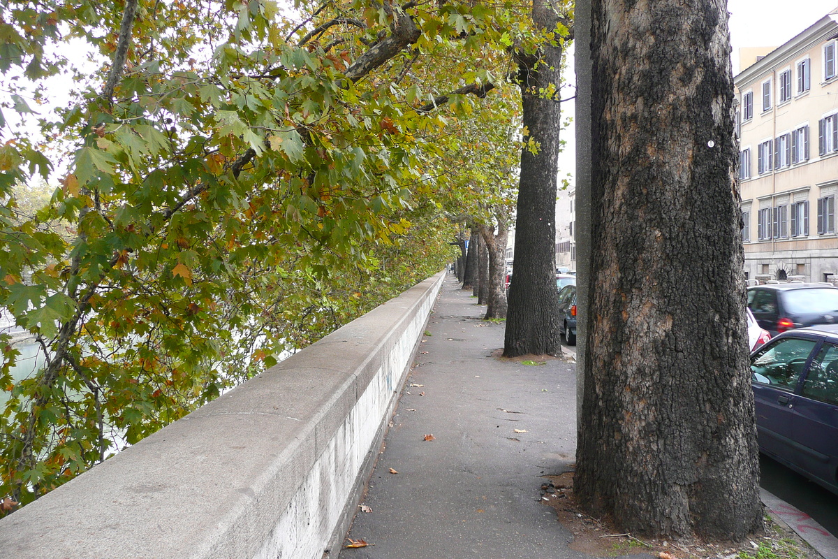 照片 意大利(Italy) 罗马(Rome) 贾尼科洛台伯河滨路(Lungotevere Gianicolense) 2007-11 26
