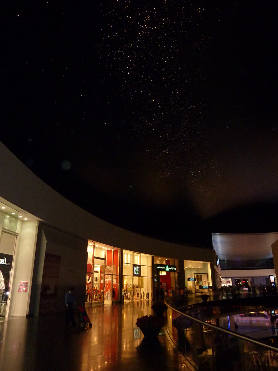 照片 阿联酋(United Arab Emirates) 迪拜(Dubai) 迪拜购物中心(The Dubai Mall) 2009-12 72