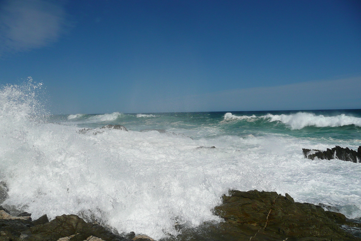 照片 南非(South Africa) 齐齐卡马国家公园(Tsitsikamma National Park) 2008-09 206