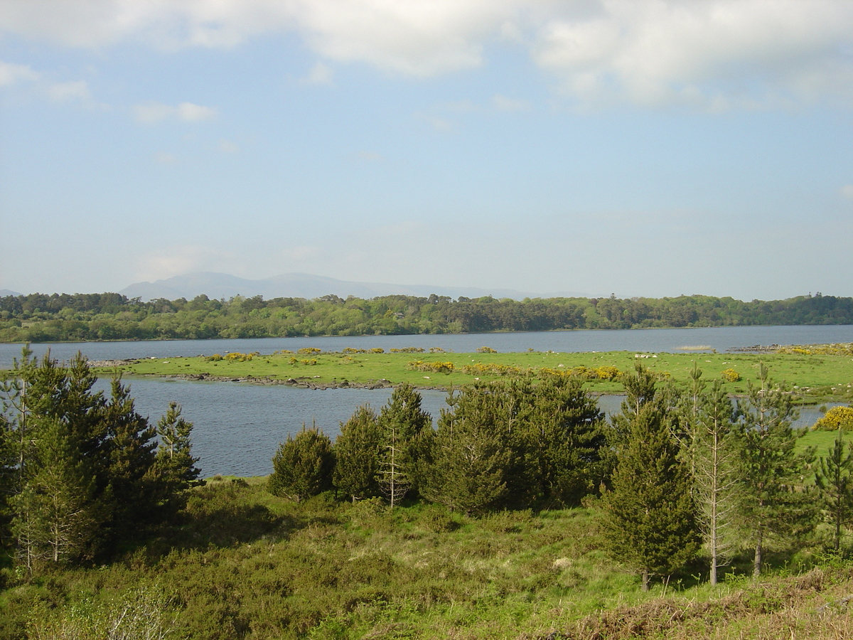 照片 爱尔兰(Ireland) 凯里郡(Kerry) 卡拉湖(Caragh Lake) 2004-05 40