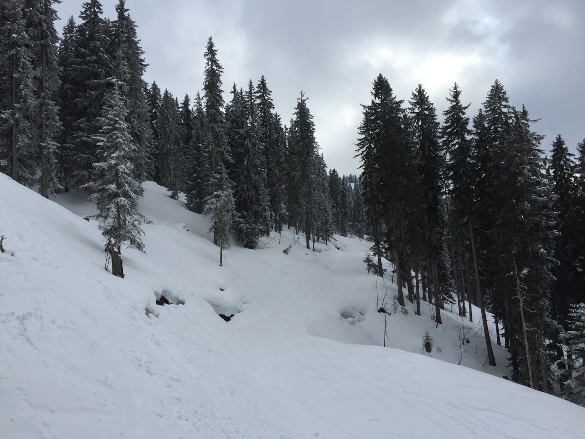 照片 法国(France) 梅杰夫(Megeve) 2016-02 89