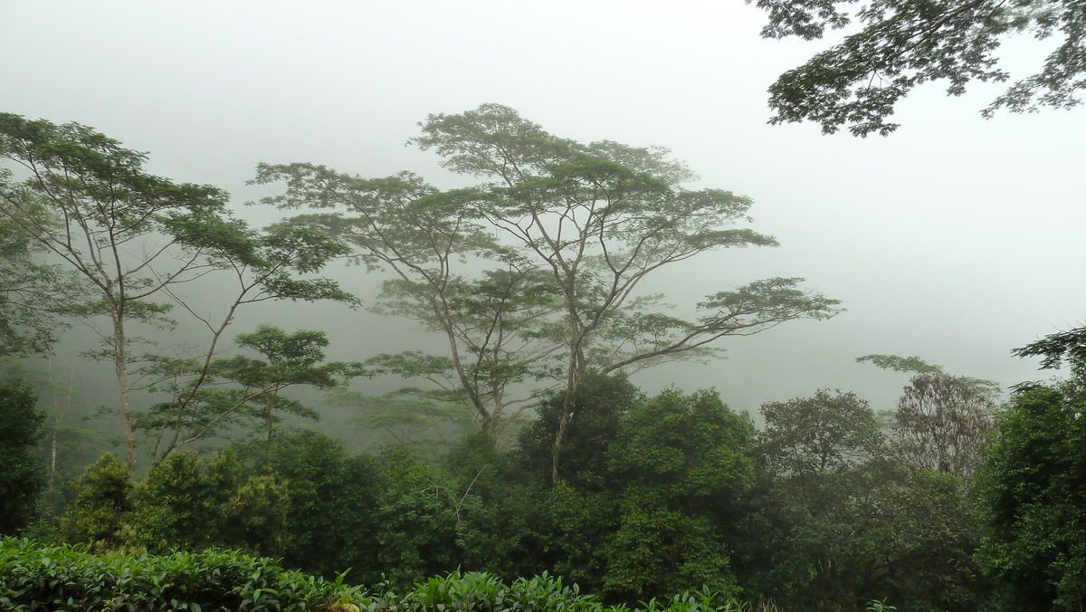 照片 塞舌尔(Seychelles) 2011-10 75