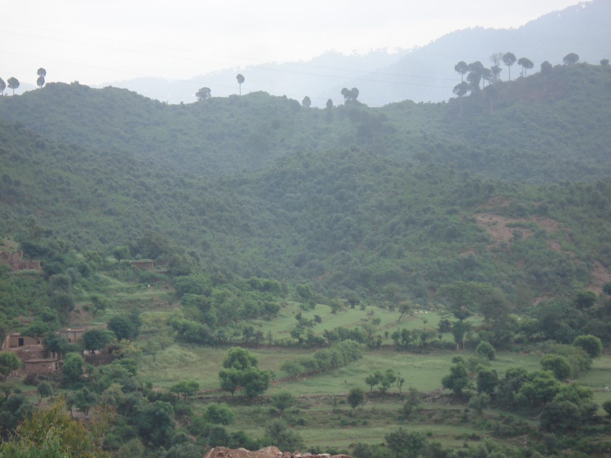 照片 巴基斯坦(Pakistan) 伊斯兰堡至穆里公路(Islamabad to Murree road) 2006-08 51