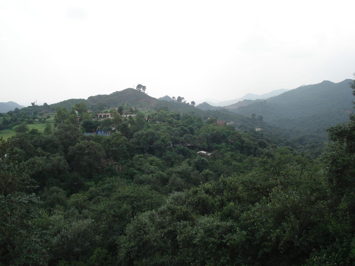 照片 巴基斯坦(Pakistan) 伊斯兰堡至穆里公路(Islamabad to Murree road) 2006-08 80