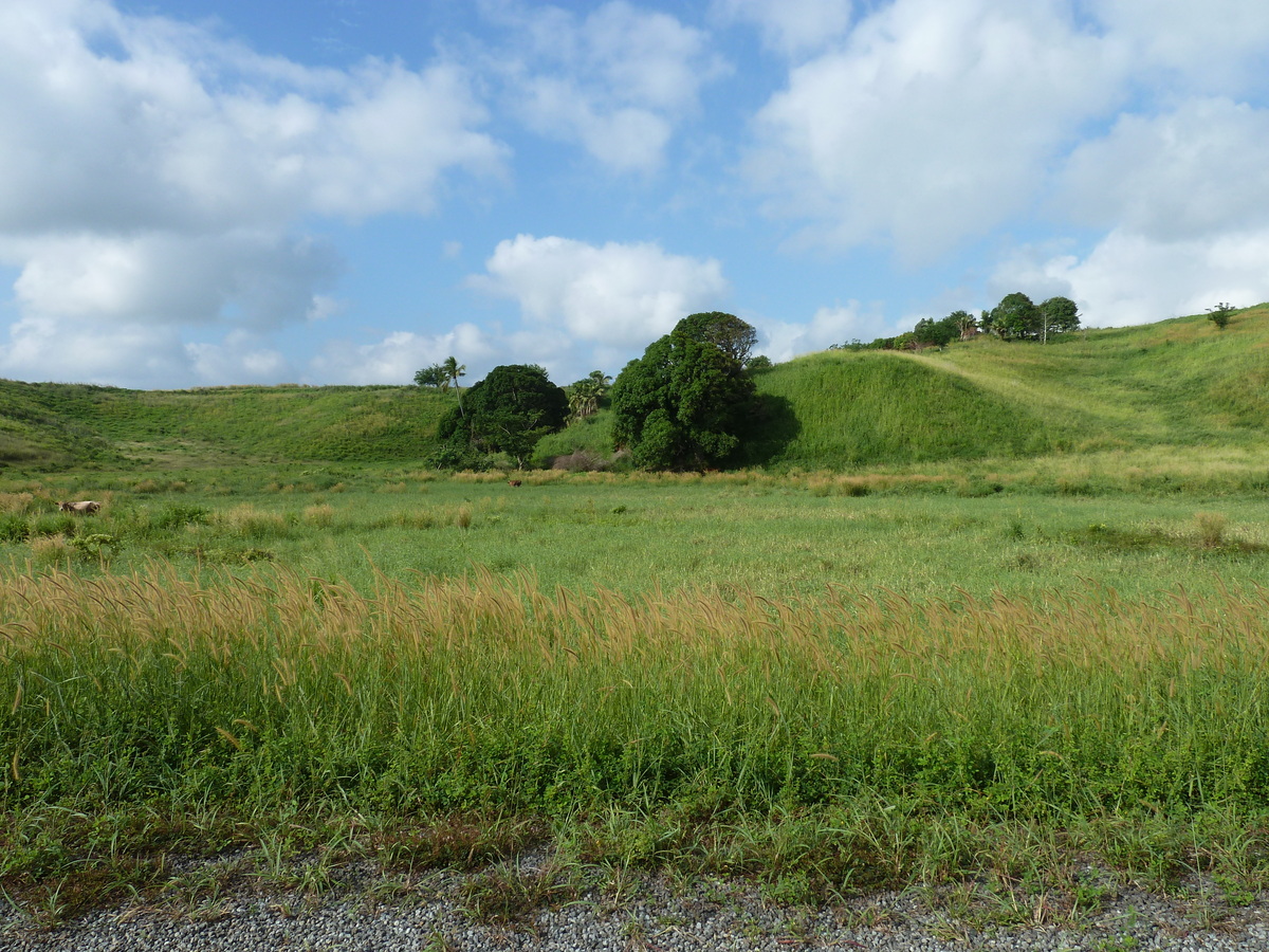 照片 斐济(Fiji) 楠迪至纳塔多拉公路(Nadi to Natadola road) 2010-05 50