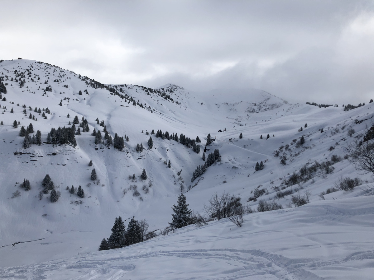 照片 法国(France) 阿尔利河畔普拉(Praz sur Arly) 2019-12 397