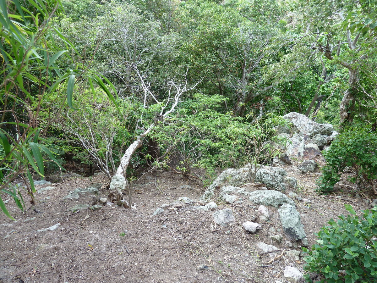 照片 斐济(Fiji) 漂流者岛(Castaway Island) 2010-05 18