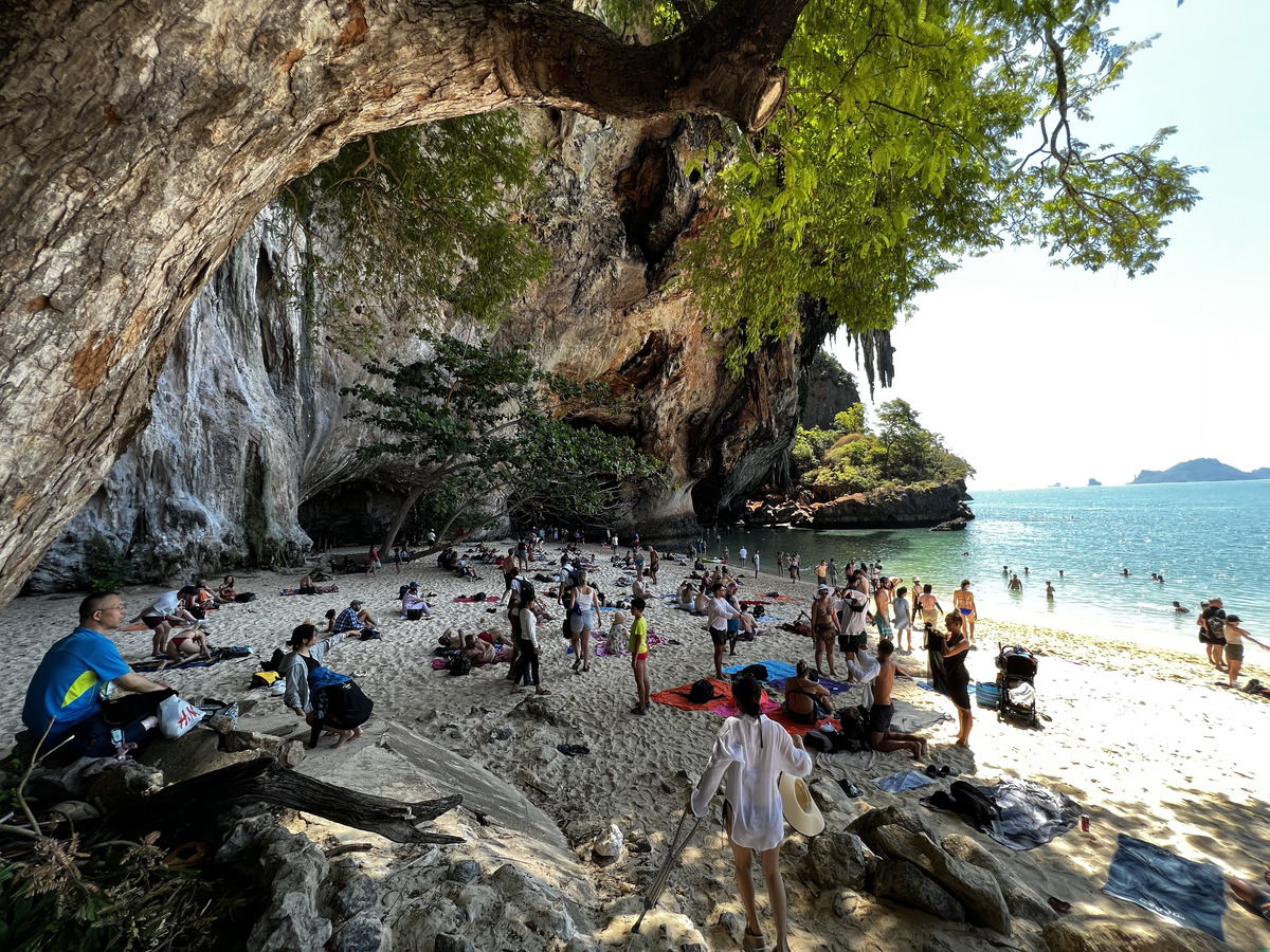 照片 泰国(Thailand) 甲米(Krabi) 2023-01 298