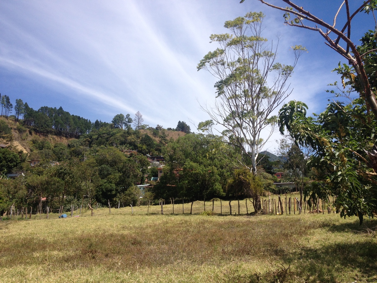照片 巴拿马(Panama) 博克特(Boquete) 2015-03 7