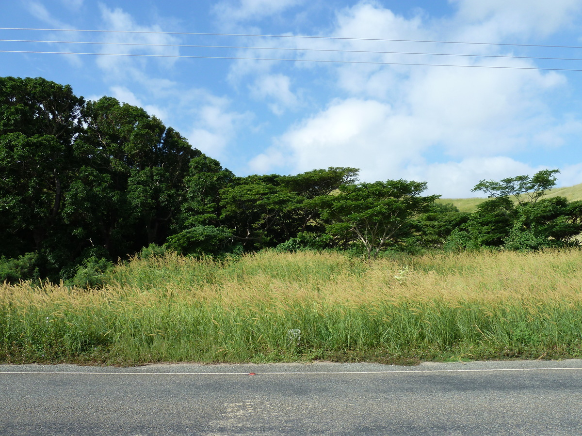 照片 斐济(Fiji) 楠迪至纳塔多拉公路(Nadi to Natadola road) 2010-05 36