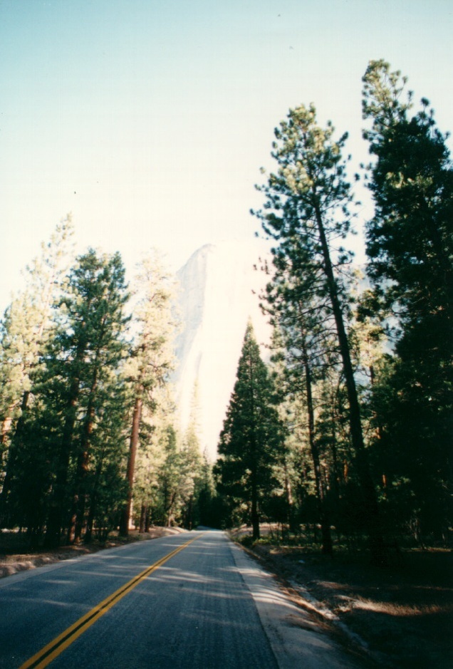 照片 美国(United States) 优胜美地国家公园(Yosemite National Park) 1992-08 16