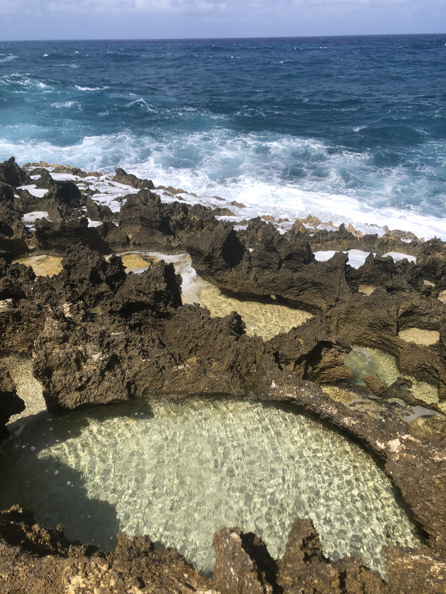 照片 瓜德罗普(Guadeloupe) 城堡角(Castle Point) 2021-02 288