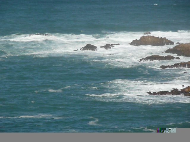 照片 南非(South Africa) 克尼斯纳岬角(Knysna Heads) 2008-09 13