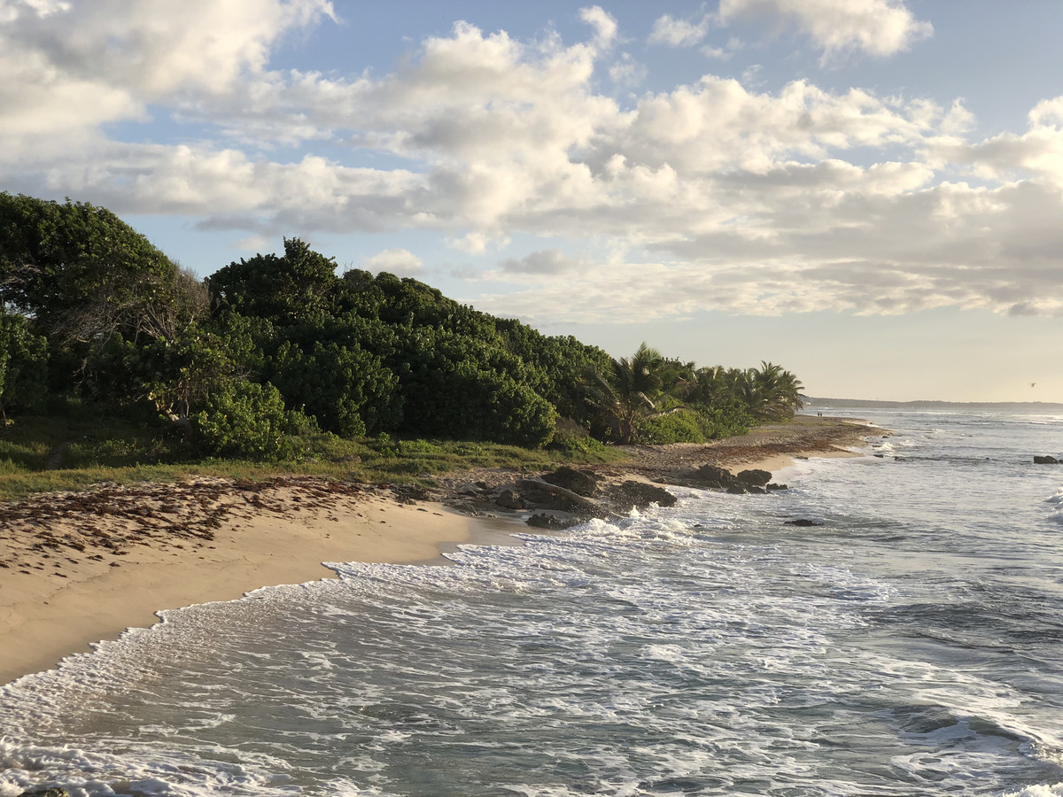 照片 瓜德罗普(Guadeloupe) 圣弗朗索瓦(Saint Francois) 2021-02 6