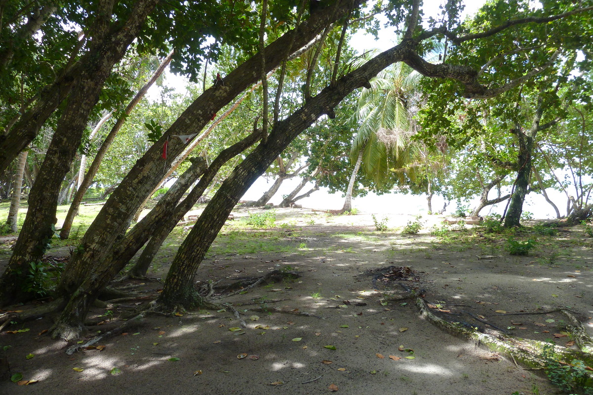 照片 塞舌尔(Seychelles) 拉迪格岛(La Digue) 2011-10 118