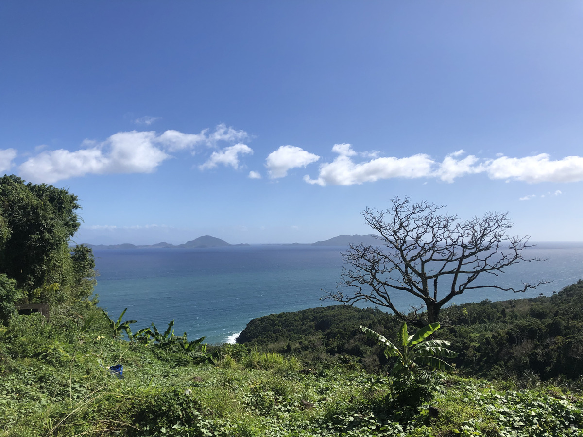 照片 瓜德罗普(Guadeloupe) 三河城(Trois Rivieres) 2021-02 11