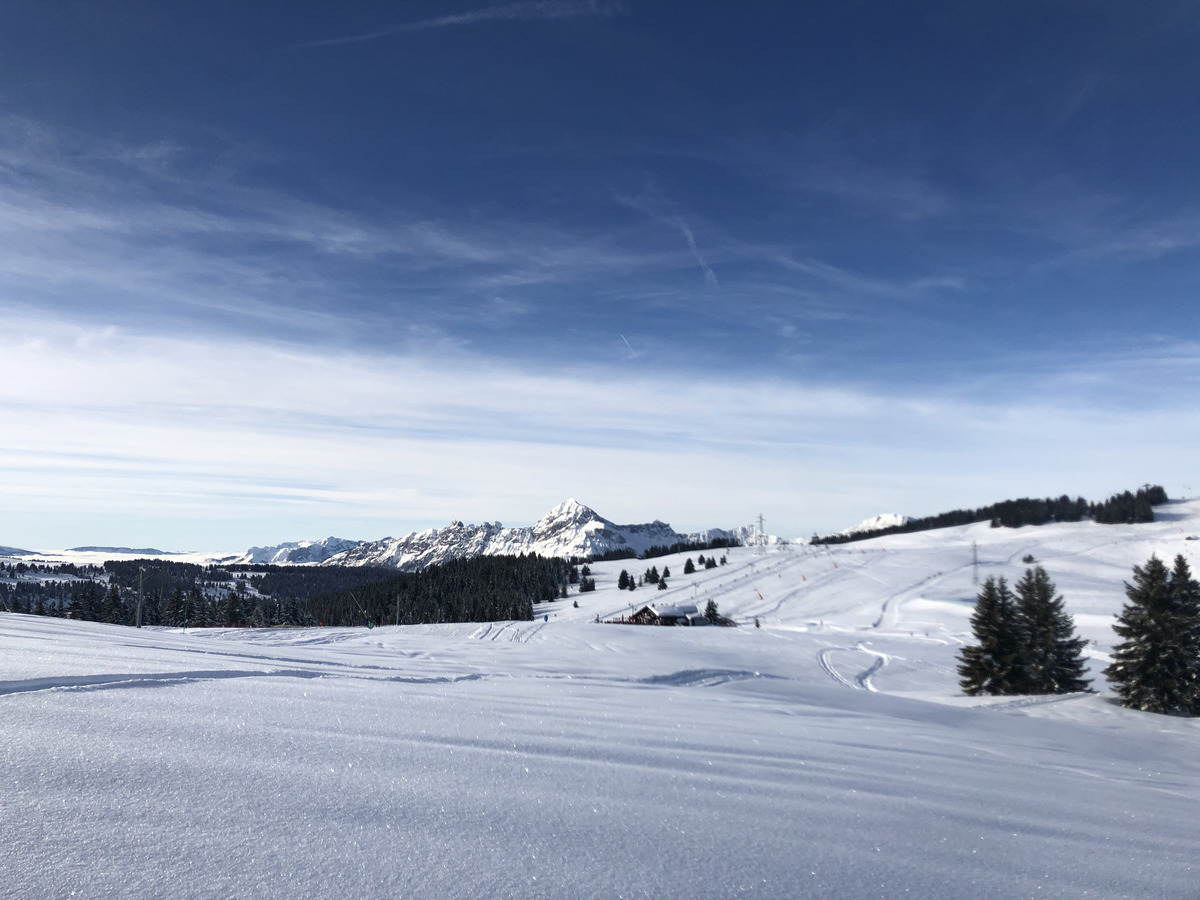 照片 法国(France) 阿尔利河畔普拉(Praz sur Arly) 2019-12 218