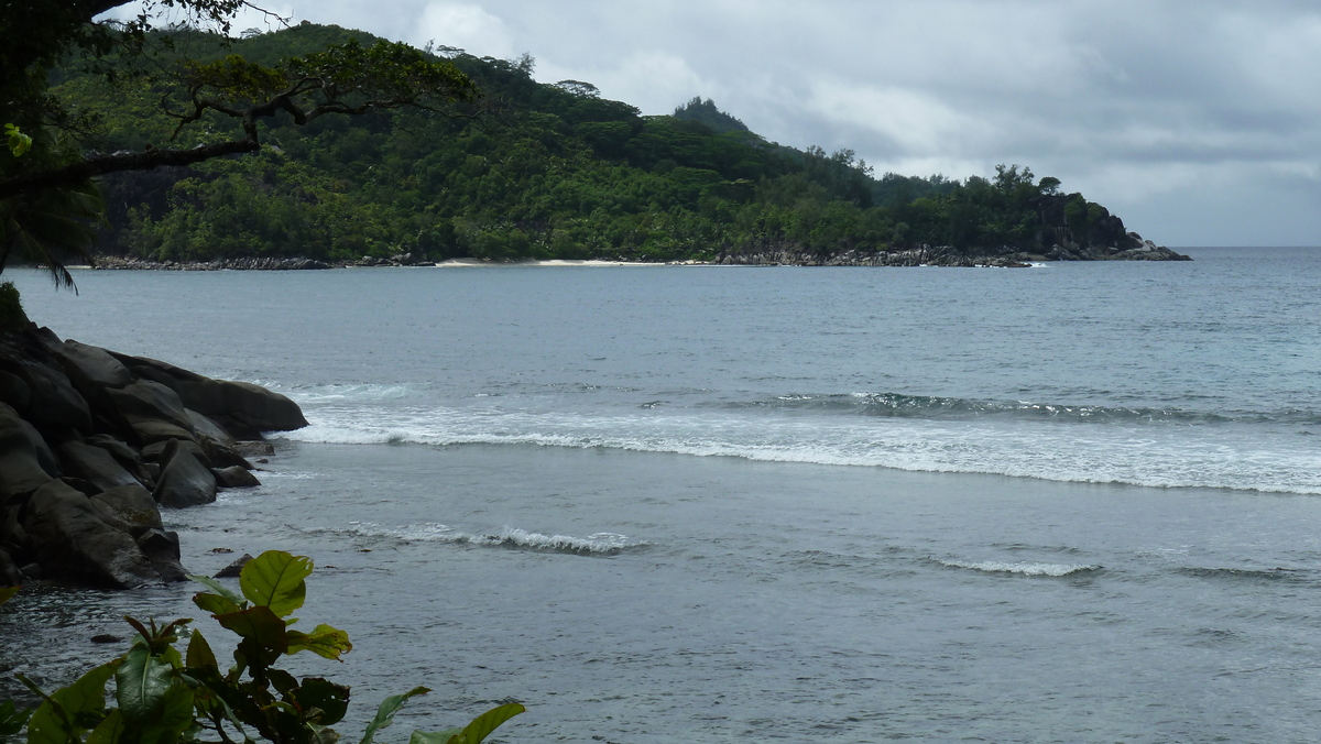 照片 塞舌尔(Seychelles) 马埃岛(Mahe) 2011-10 76