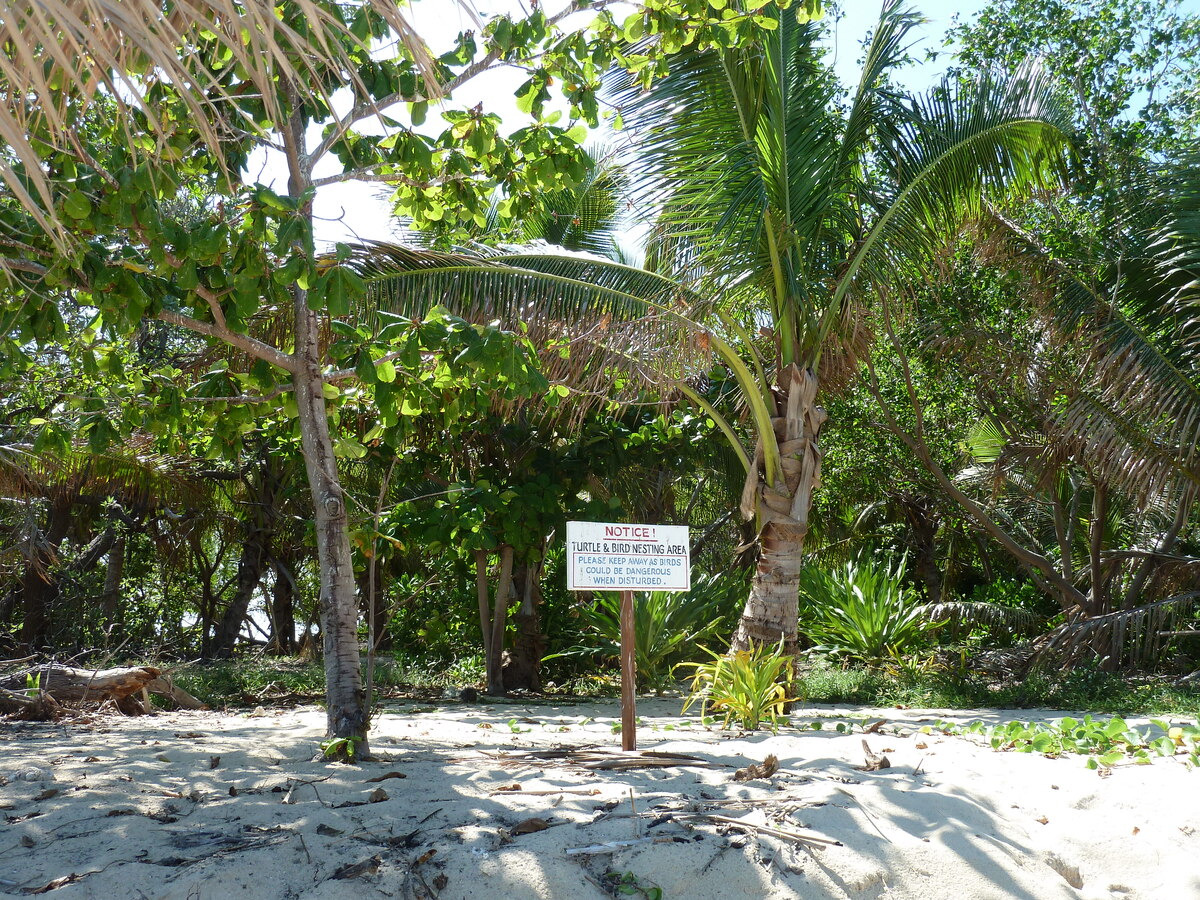 照片 斐济(Fiji) 库克船长游轮(Captain Cook Cruises) 2010-05 23