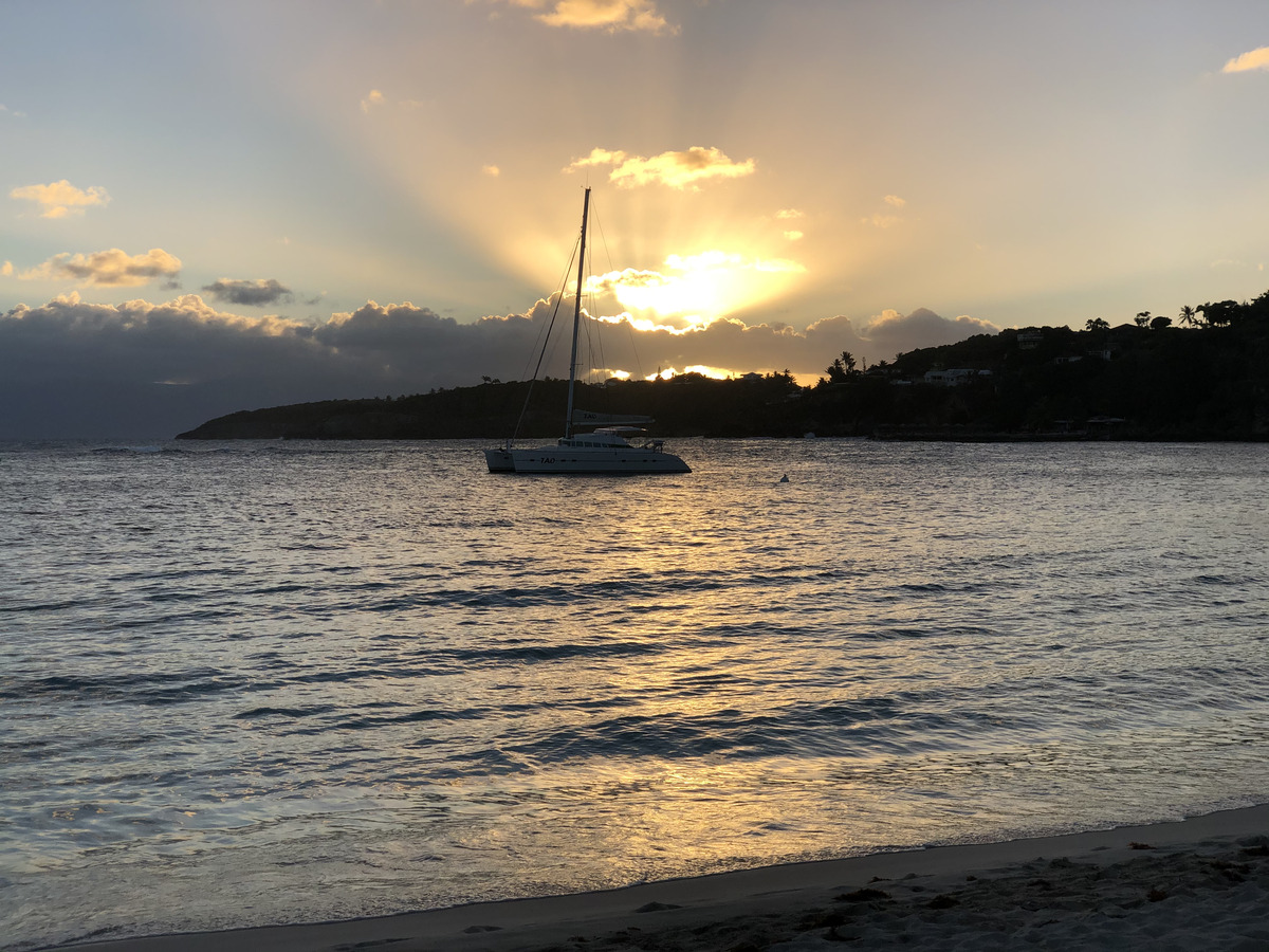 照片 瓜德罗普(Guadeloupe) 卡拉维尔海滩(La Caravelle Beach) 2021-02 126