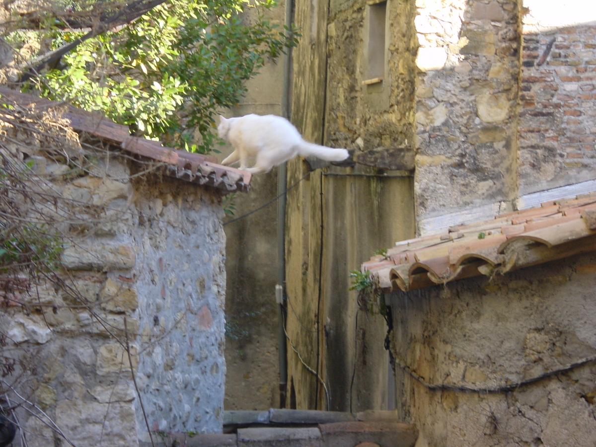 照片 法国(France) 芒通(Menton) 2002-01 16